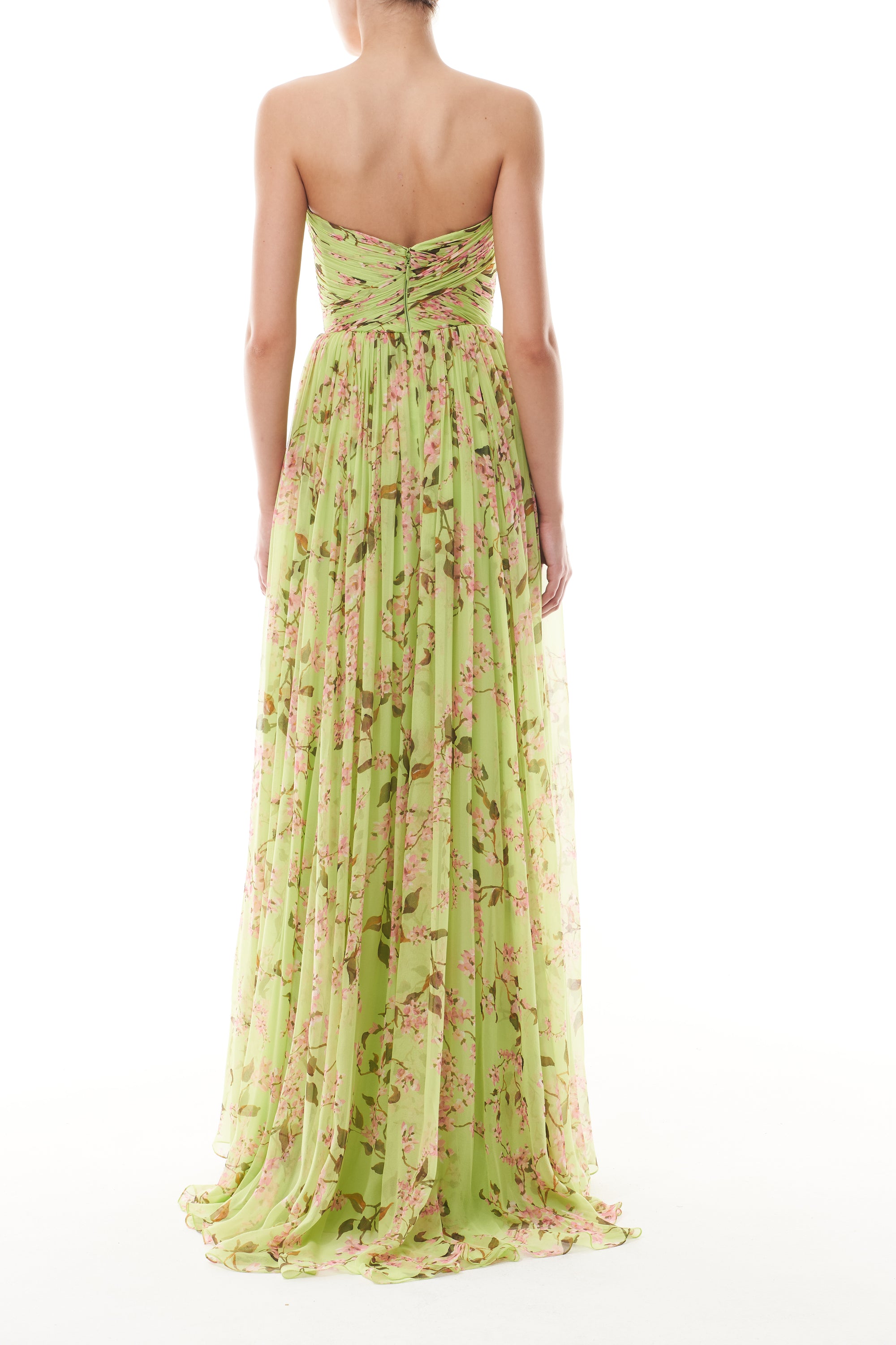 Monique Lhuillier Fall 2025 Celedon/Multi Wisteria Printed chiffon draped a-line gown - back.