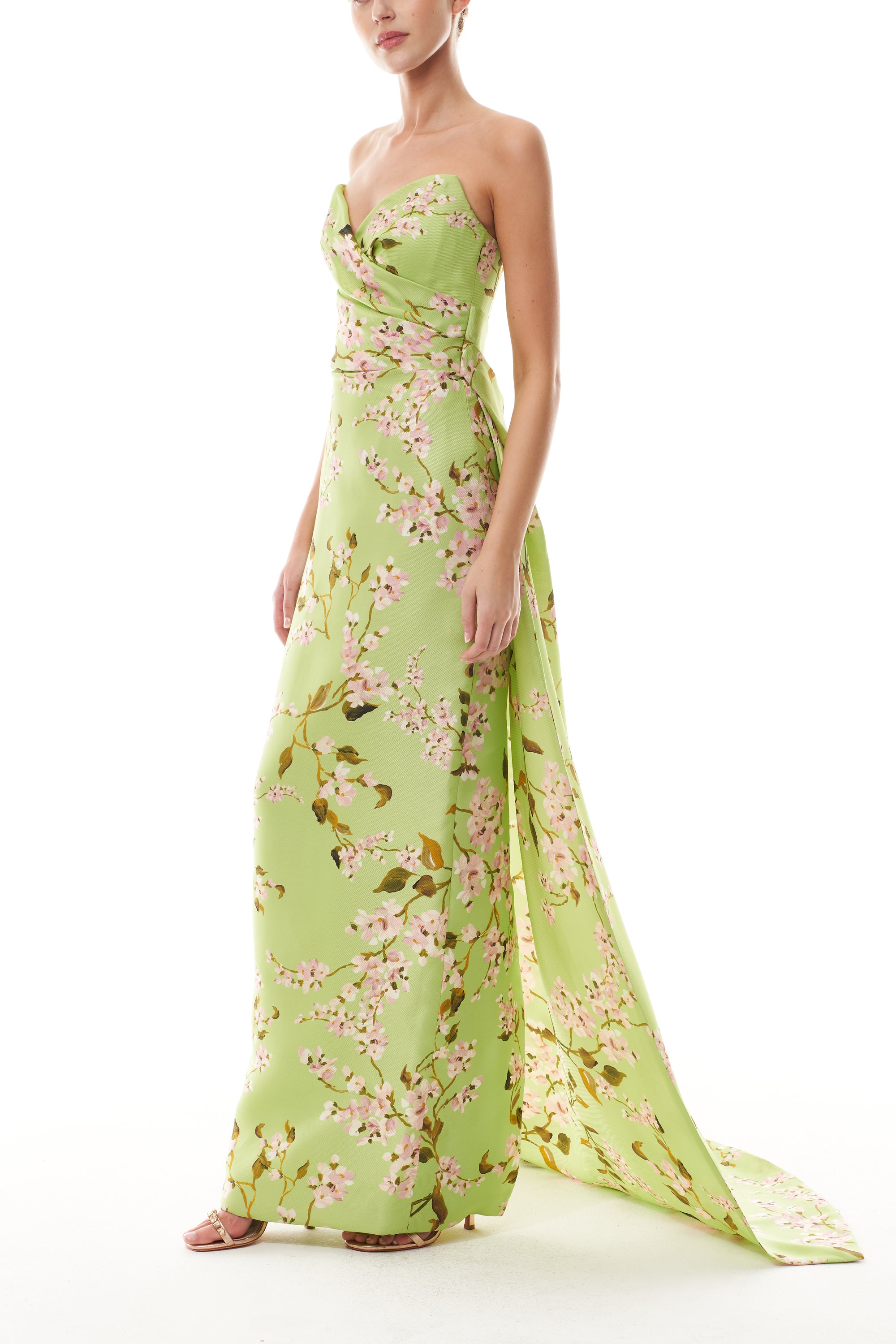 Monique Lhuillier Fall 2025  Draped Bodice Column Gown with Train in Celedon/Multi Wisteria Printed Gazar - side.