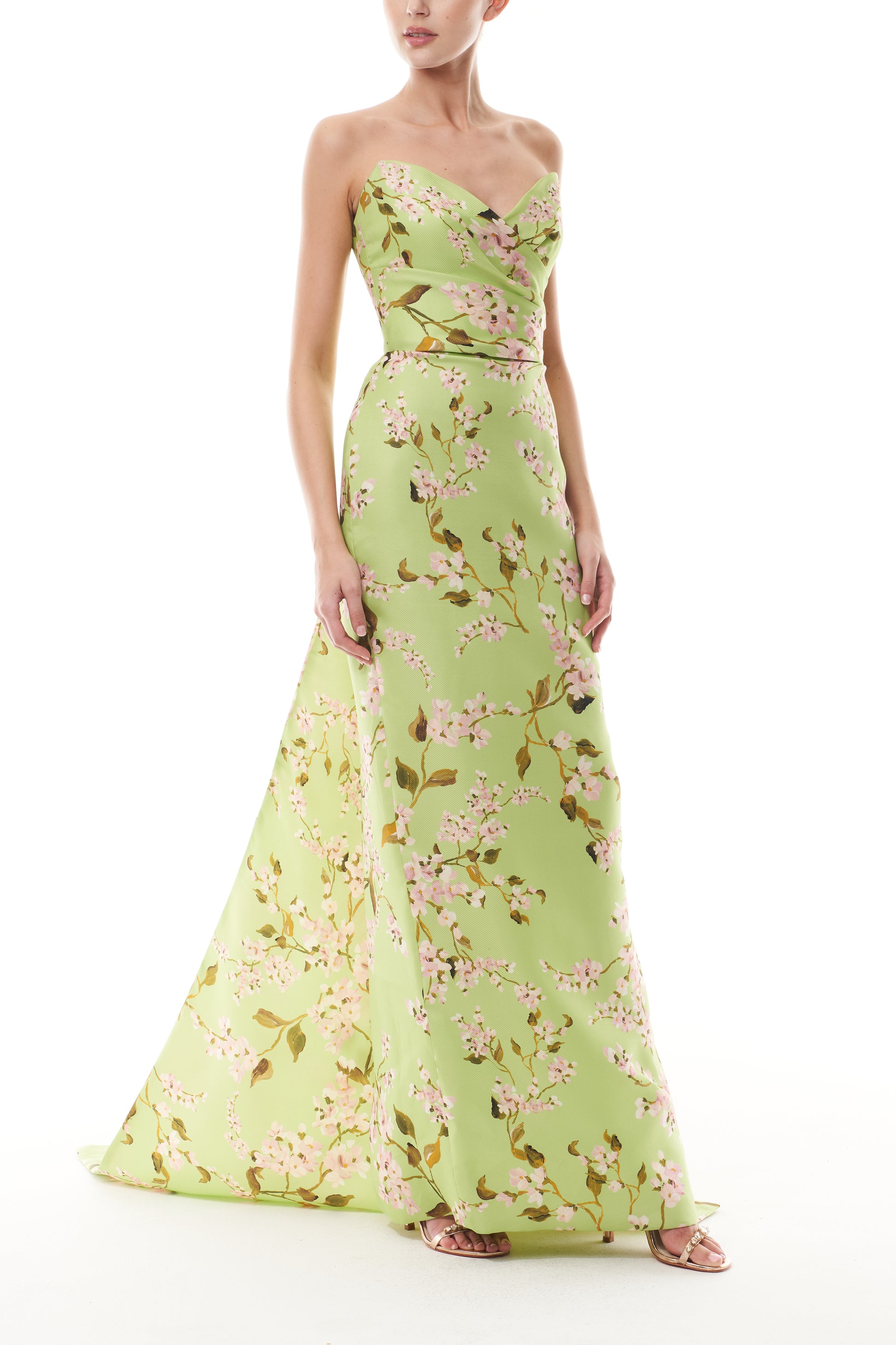 Monique Lhuillier Fall 2025  Draped Bodice Column Gown with Train in Celedon/Multi Wisteria Printed Gazar - side.