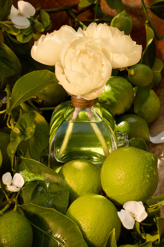 Monique Lhuillier x Agraria Citrus Lily diffuser with sola flowers 