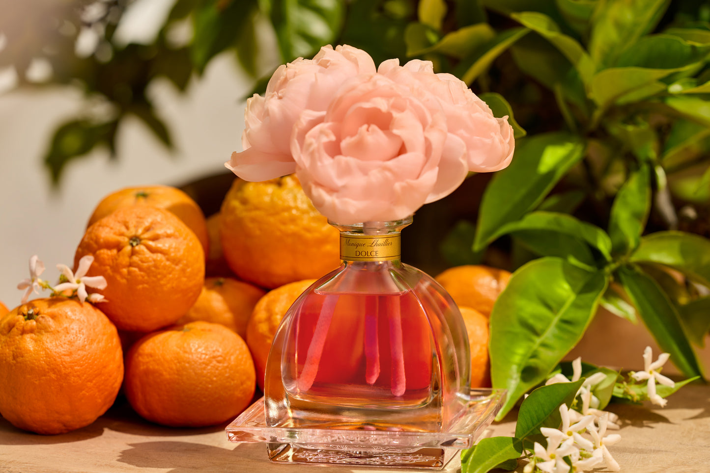 Monique Lhuillier x Agraria Dolce diffuser with sola flowers 