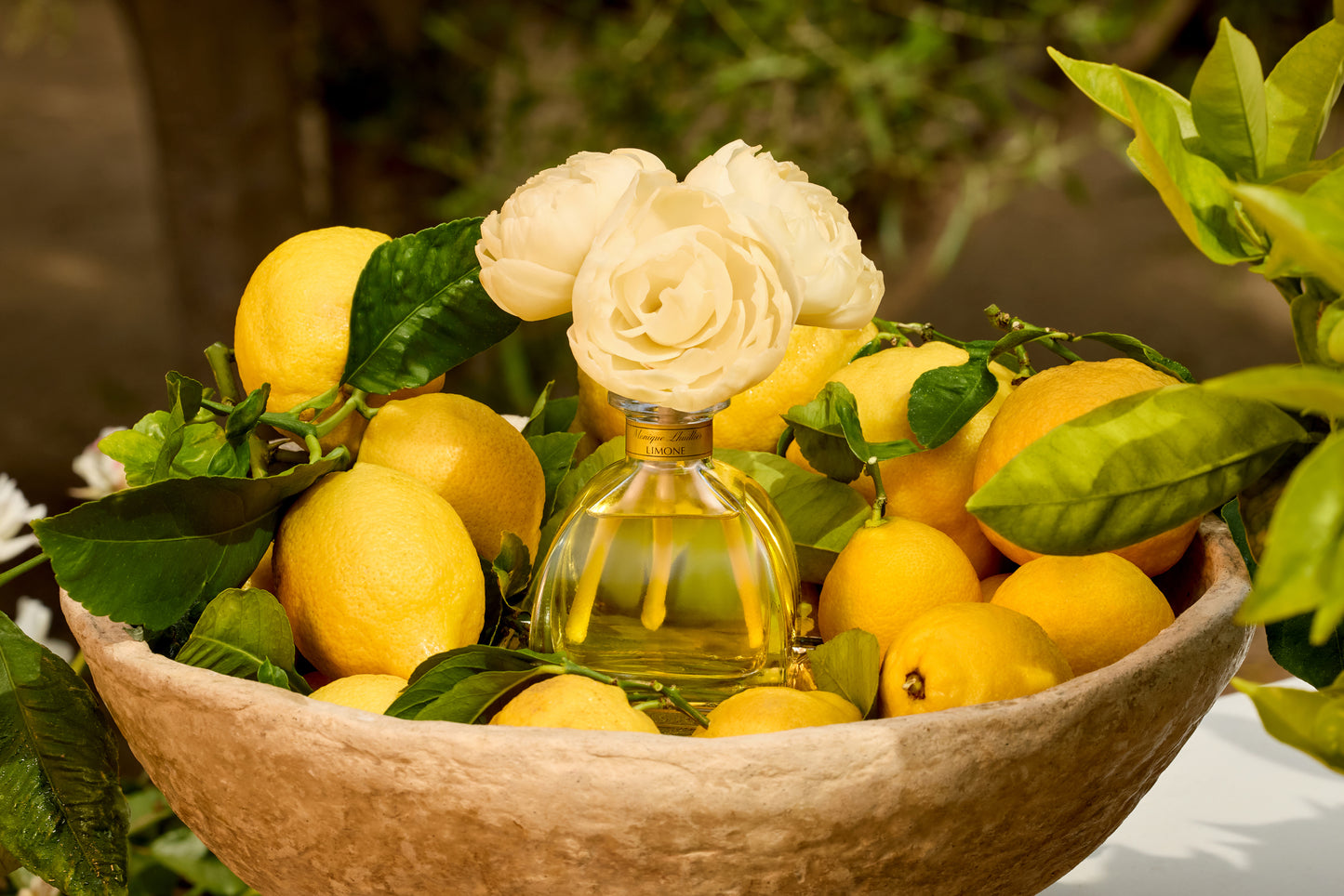 Monique Lhuillier x Agraria Limone diffuser with sola flowers 