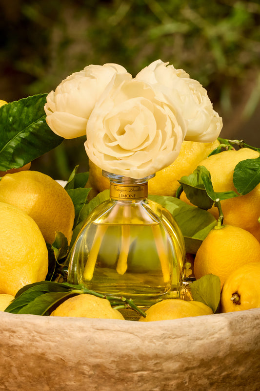 Monique Lhuillier x Agraria Limone diffuser with sola flowers 