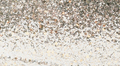 SILVER GLITTER